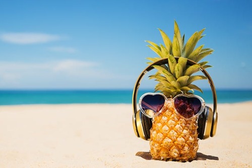 Zomercursus swingfox