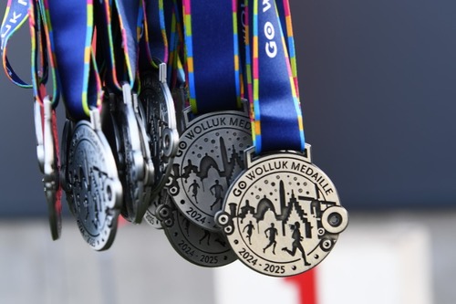 GO Wolluk Medaille